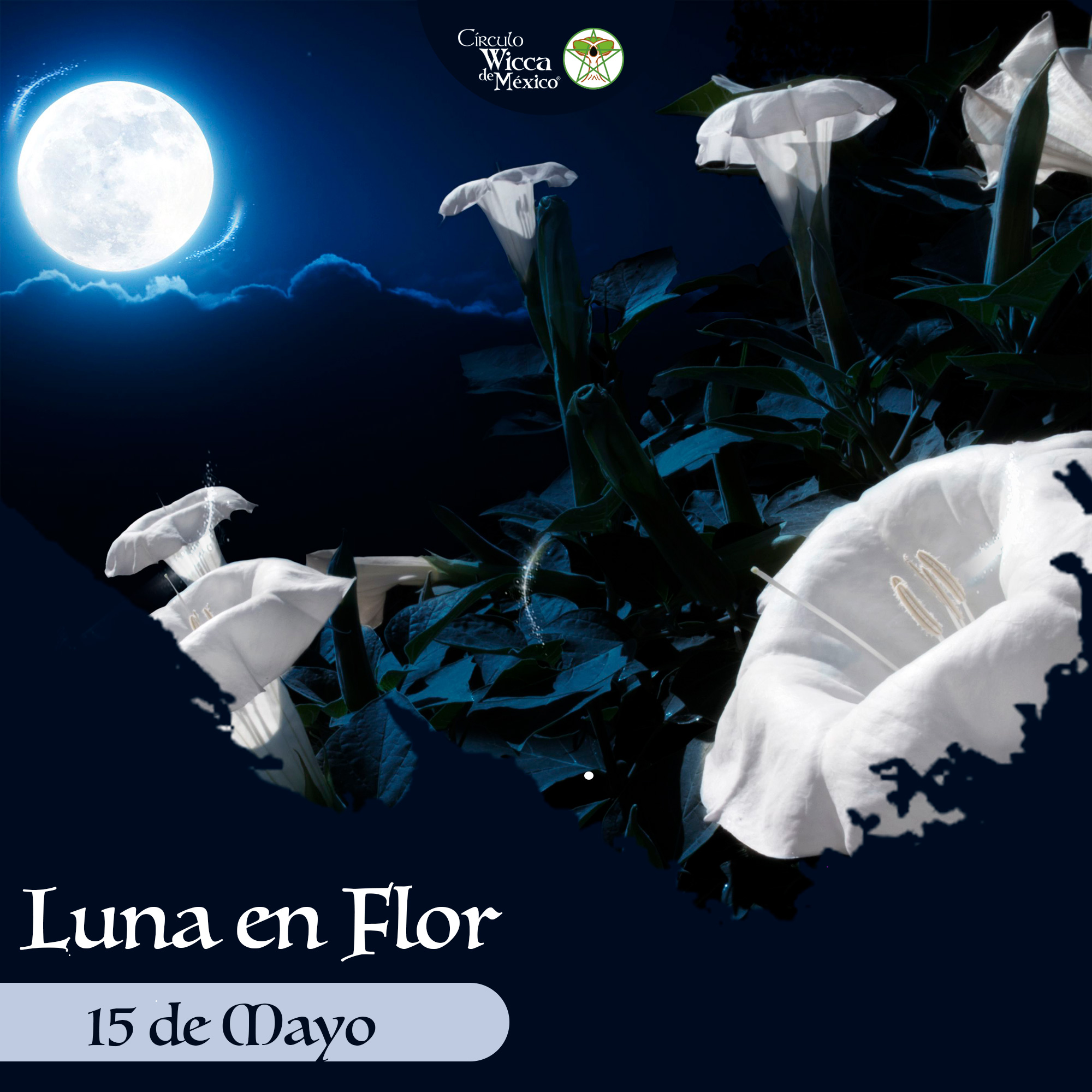 Luna Flor