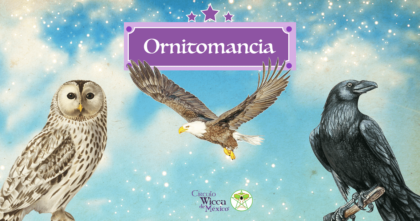 Ornitomancia Horizontal3