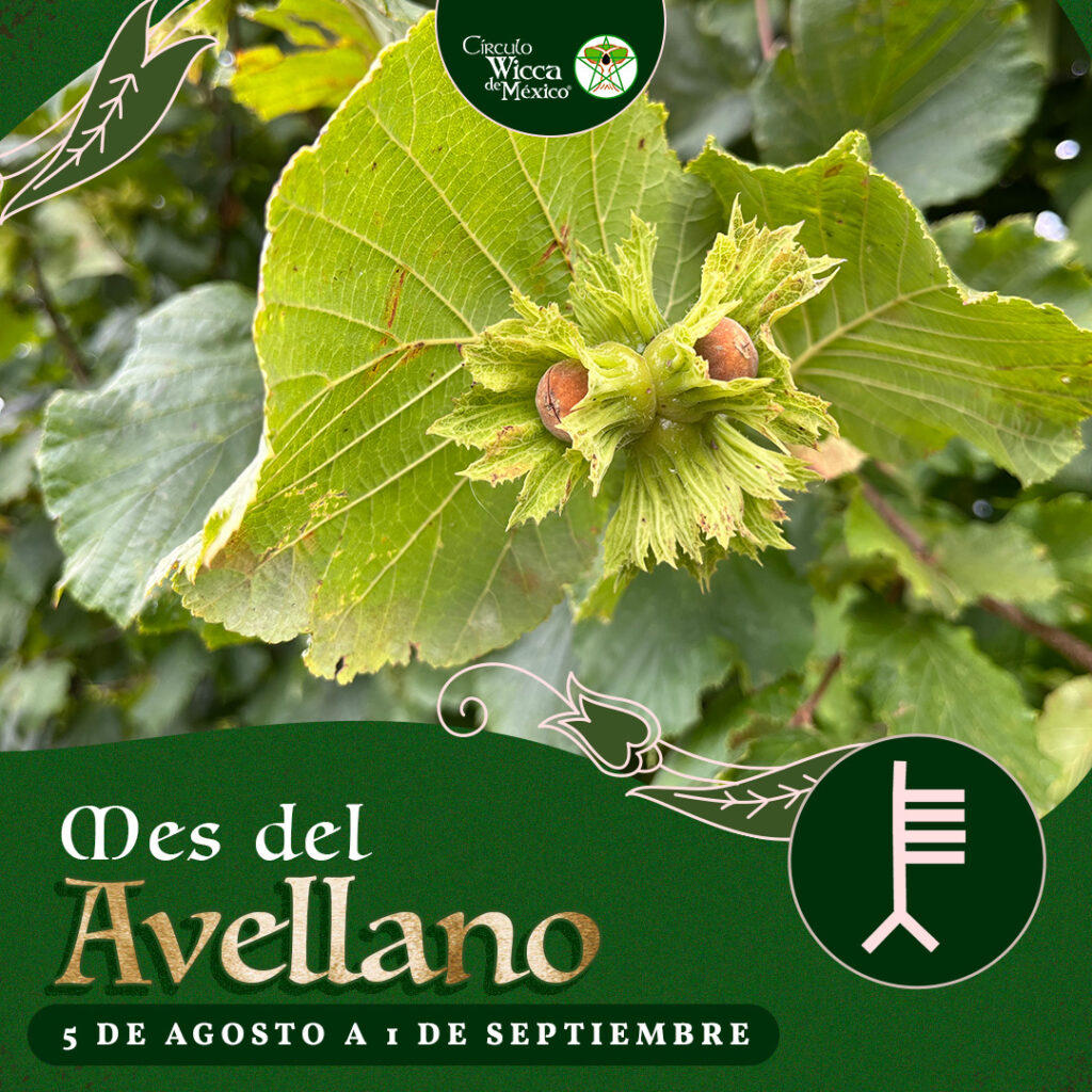 Mes del Avellano 2024 1024x1024